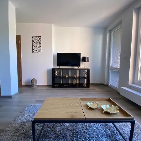 Cerna Ruze- Apartman 5 Plzeň Dış mekan fotoğraf