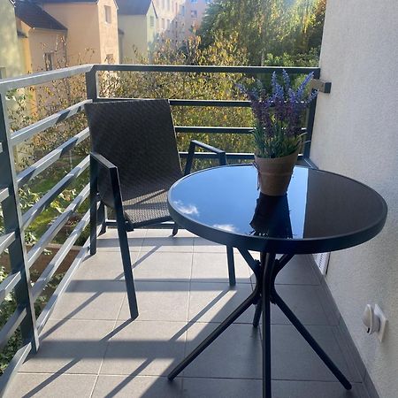 Cerna Ruze- Apartman 5 Plzeň Dış mekan fotoğraf