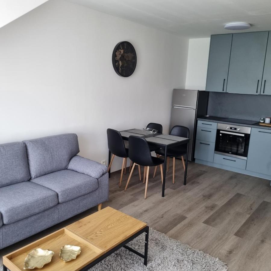 Cerna Ruze- Apartman 5 Plzeň Dış mekan fotoğraf