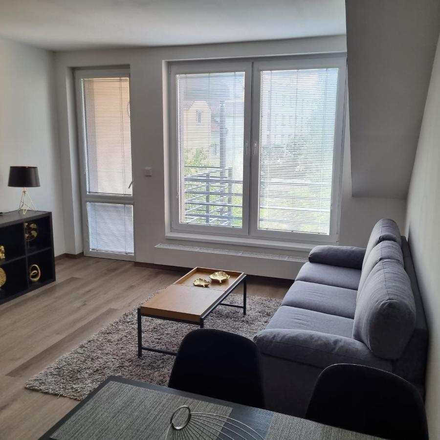 Cerna Ruze- Apartman 5 Plzeň Dış mekan fotoğraf