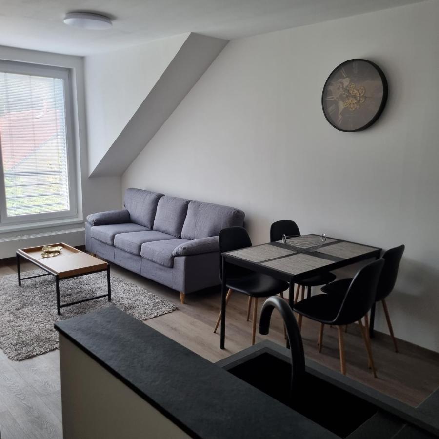 Cerna Ruze- Apartman 5 Plzeň Dış mekan fotoğraf