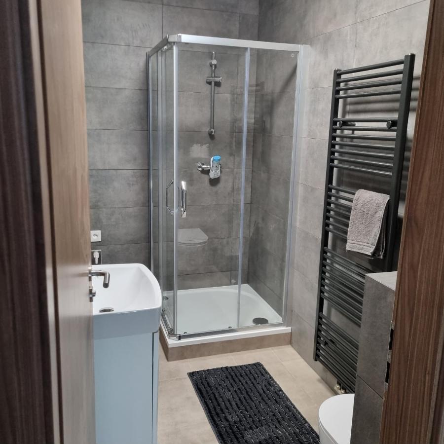 Cerna Ruze- Apartman 5 Plzeň Dış mekan fotoğraf