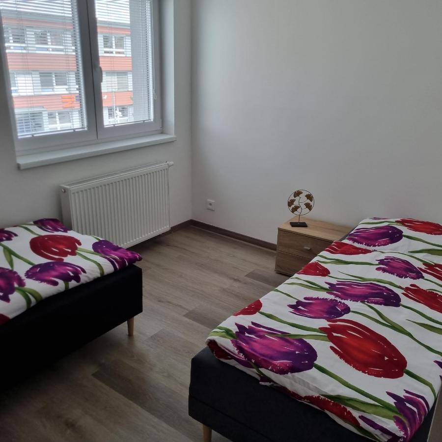 Cerna Ruze- Apartman 5 Plzeň Dış mekan fotoğraf