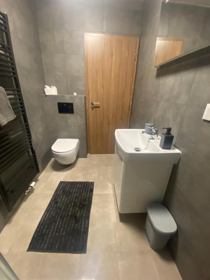 Cerna Ruze- Apartman 5 Plzeň Dış mekan fotoğraf