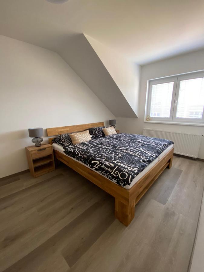 Cerna Ruze- Apartman 5 Plzeň Dış mekan fotoğraf