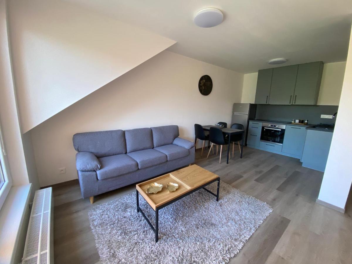 Cerna Ruze- Apartman 5 Plzeň Dış mekan fotoğraf