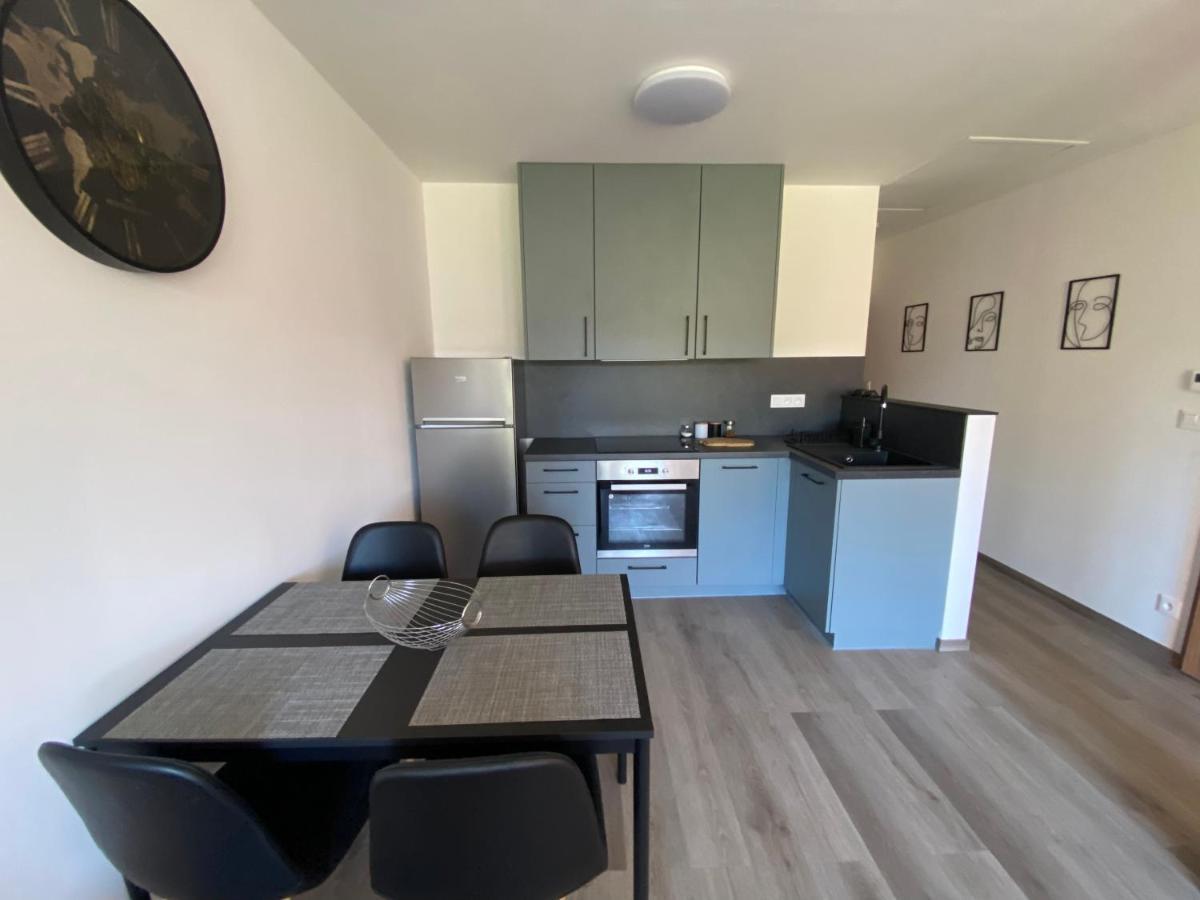 Cerna Ruze- Apartman 5 Plzeň Dış mekan fotoğraf