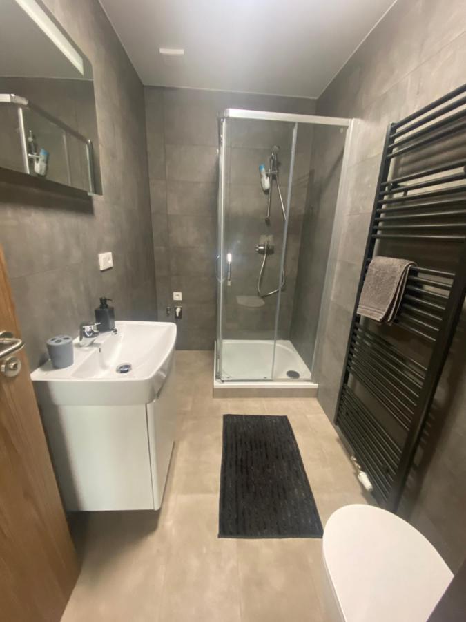 Cerna Ruze- Apartman 5 Plzeň Dış mekan fotoğraf