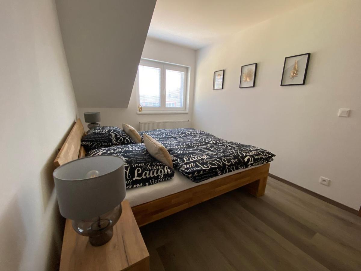 Cerna Ruze- Apartman 5 Plzeň Dış mekan fotoğraf