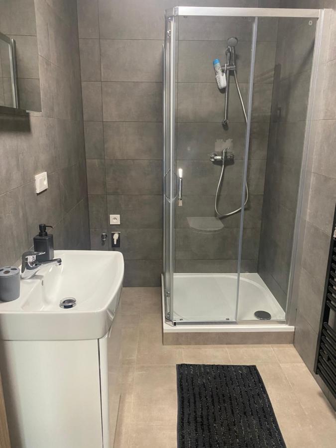 Cerna Ruze- Apartman 5 Plzeň Dış mekan fotoğraf