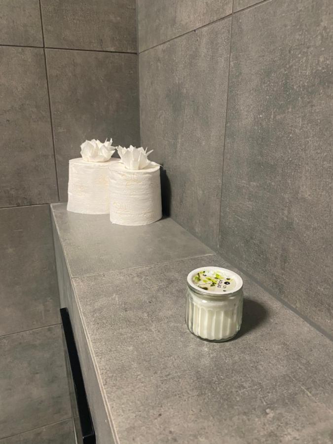 Cerna Ruze- Apartman 5 Plzeň Dış mekan fotoğraf