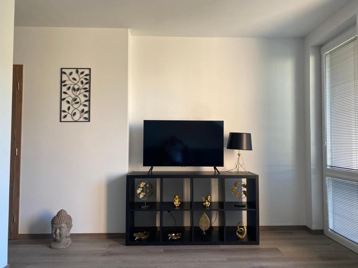 Cerna Ruze- Apartman 5 Plzeň Dış mekan fotoğraf