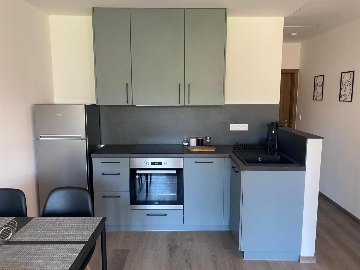 Cerna Ruze- Apartman 5 Plzeň Dış mekan fotoğraf
