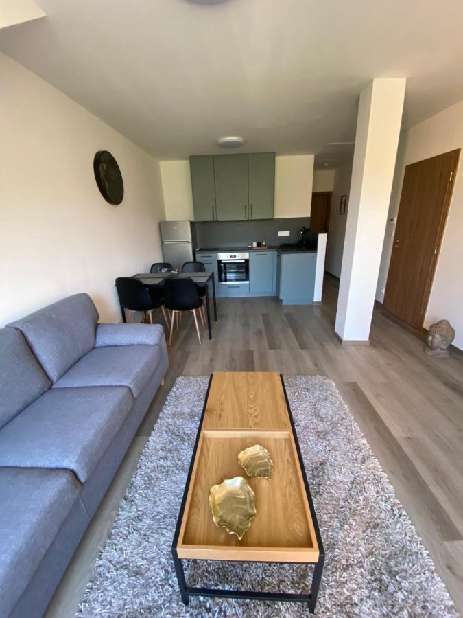 Cerna Ruze- Apartman 5 Plzeň Dış mekan fotoğraf