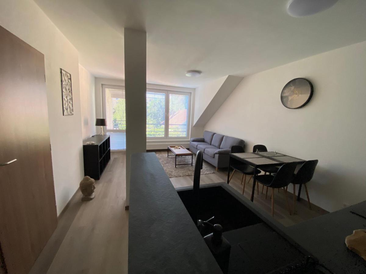 Cerna Ruze- Apartman 5 Plzeň Dış mekan fotoğraf
