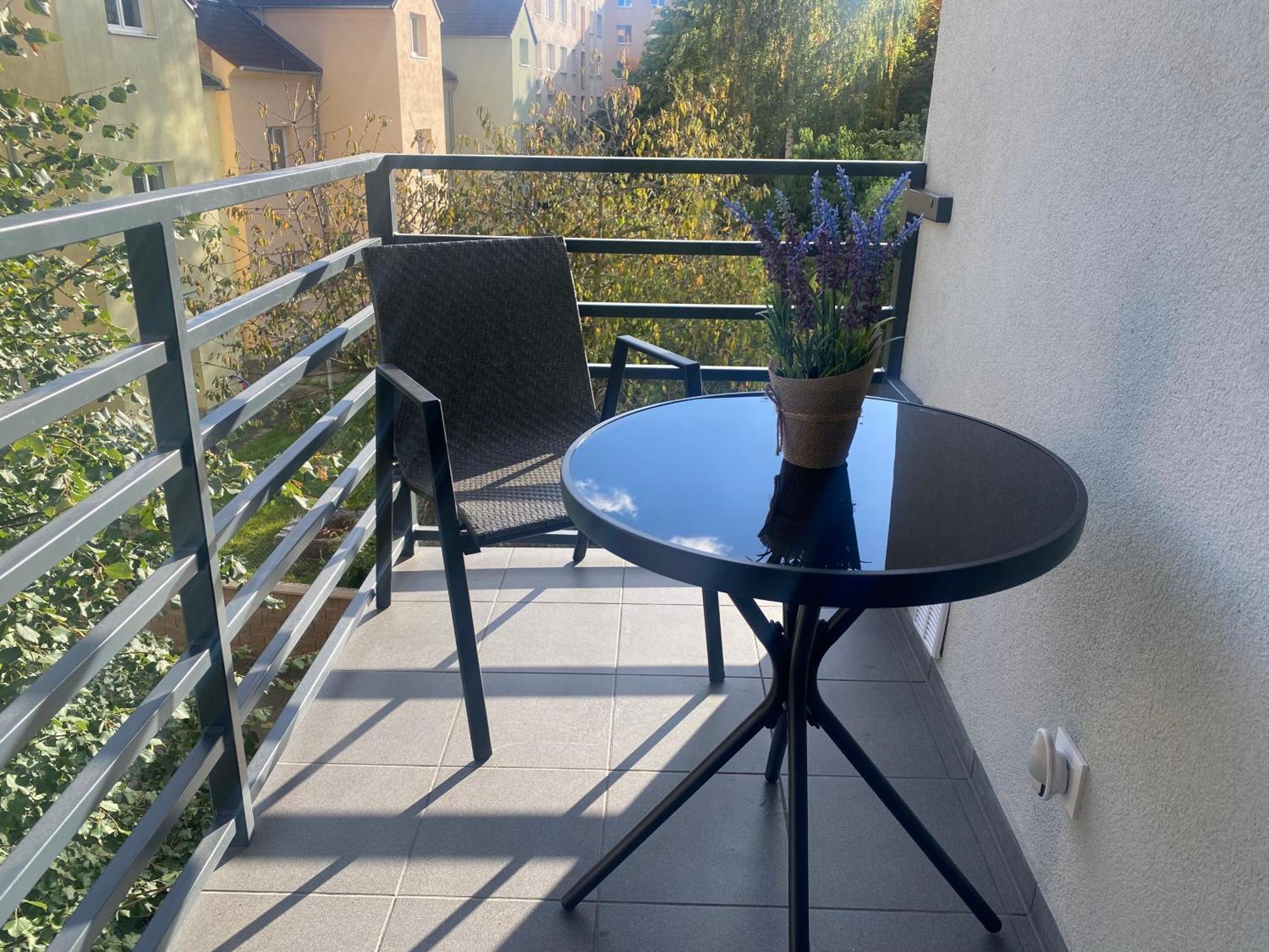 Cerna Ruze- Apartman 5 Plzeň Dış mekan fotoğraf